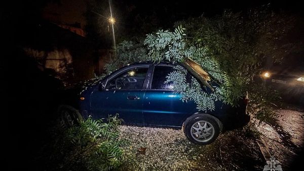 Почти 300 человек устраняют последствия непогоды в Севастополе