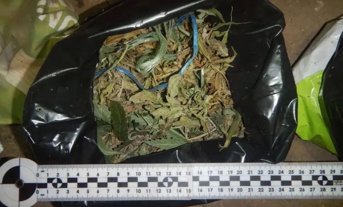 На 7 лет отправился в колонию керчанин, за попытку продать почти полкилограмма каннабиса