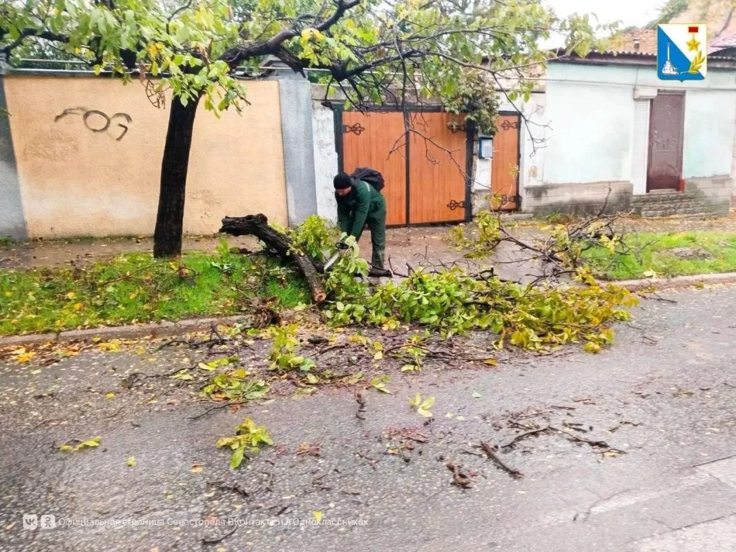 В Севастополе устраняют последствия непогоды: принято 1012 обращений