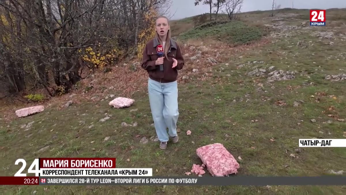 Заключительную подкормку краснокнижных грифов и сипов провели на горе Чатыр-Даг