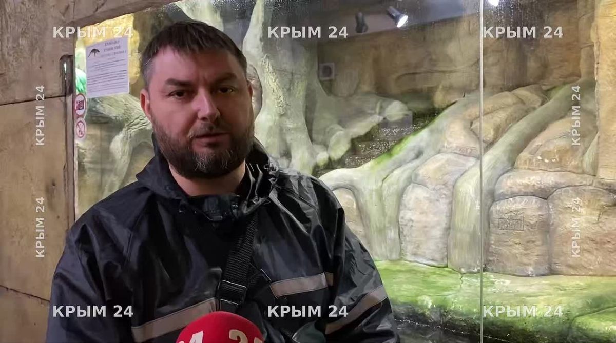 Вторые сутки в Ялтинском крокодиляриуме откачивают воду после стихии По словам руководителя зооуголка Вадима Коршункова, подтопление началось в три часа ночи. С тех пор сотрудники работают посменно