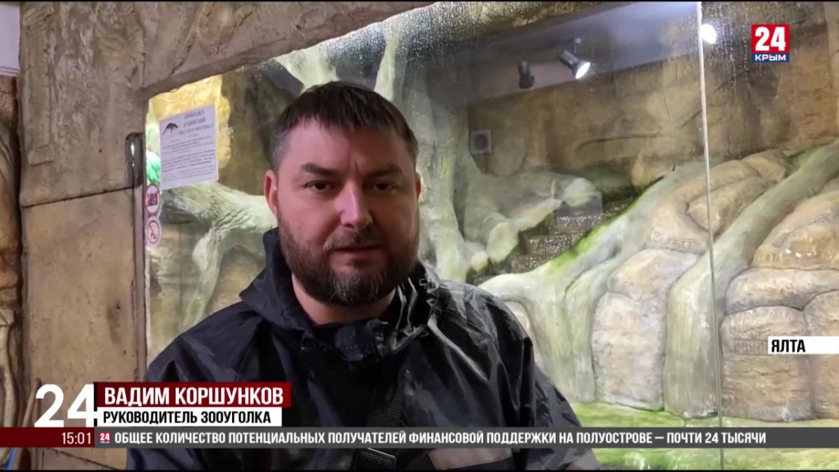 Ялтинский крокодиляриум и троллейбусный парк города подтопило после дождей