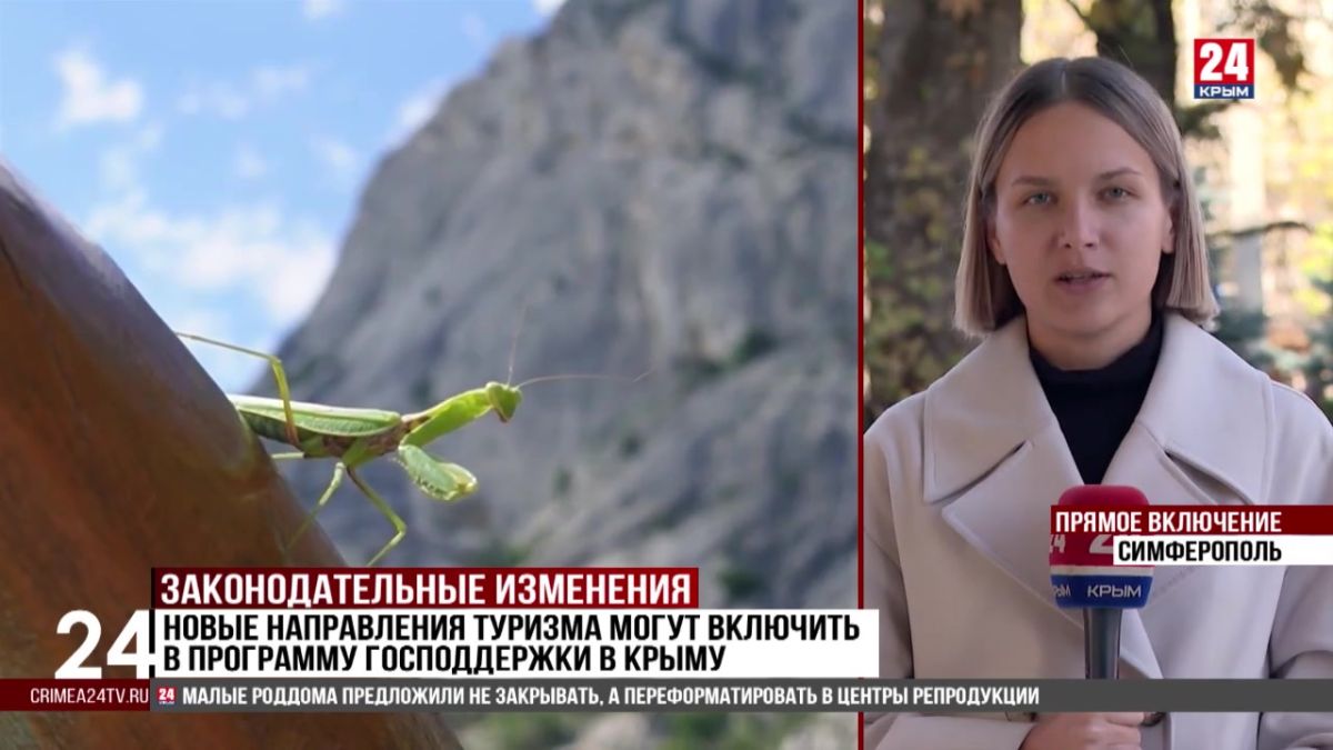 Запретить продажу вейпов в Крыму планируют с 1 марта 2027 года