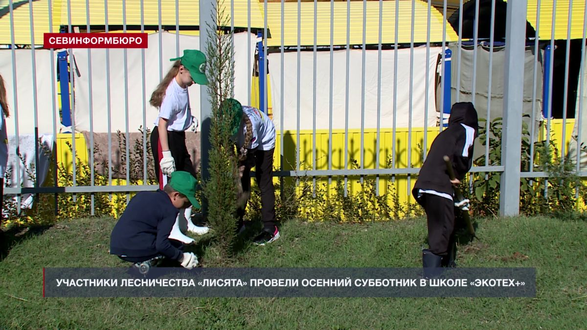 В Севастополе участники школьного лесничества «Лисята» провели осенний субботник в школе «Экотех+»