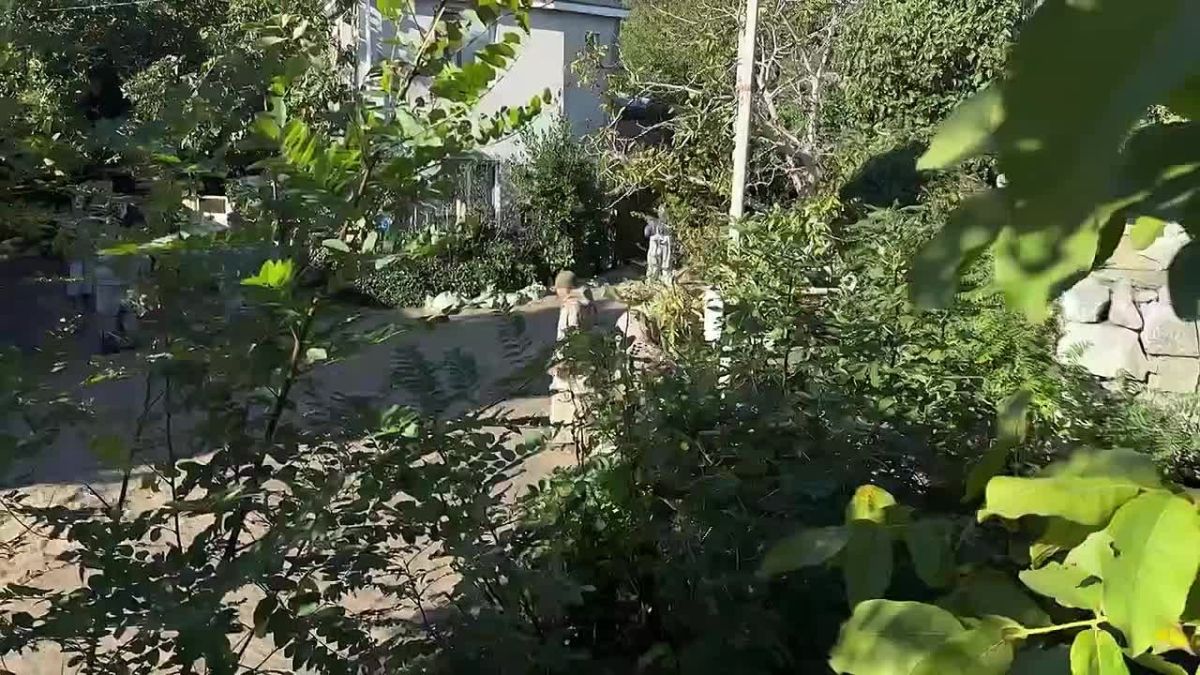 В Алупке наиболее сложная обстановка на всём Южном берегу Крыма