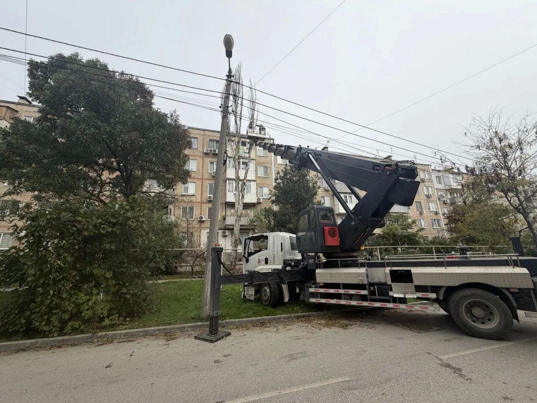 В Керчи решили проблему аварийного тополя на улице Марата