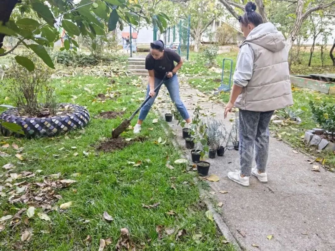 Активные симферопольцы стали финалистами городского конкурса «Лучший цветник (клумба, газон, зелёная зона)» среди территориальных общественных самоуправлений