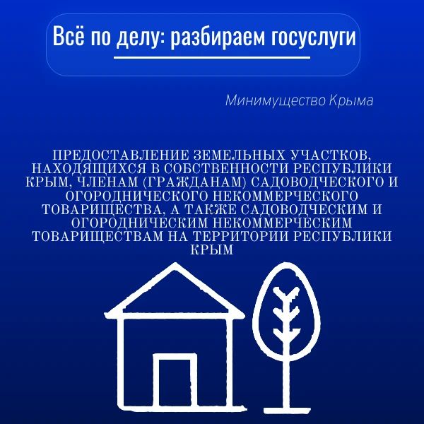 Рубрика: "Всё по делу: разбираем госуслуги"