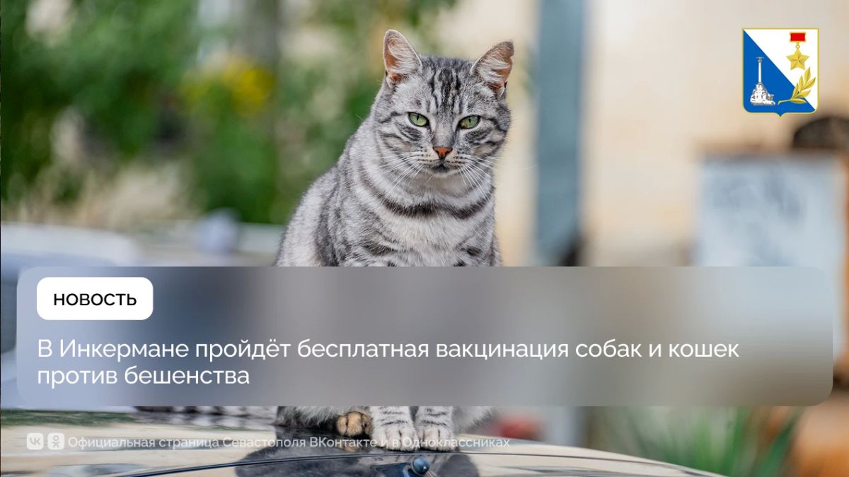 Ещё более 140 домашних питомцев вакцинировали от бешенства в Балаклавском районе
