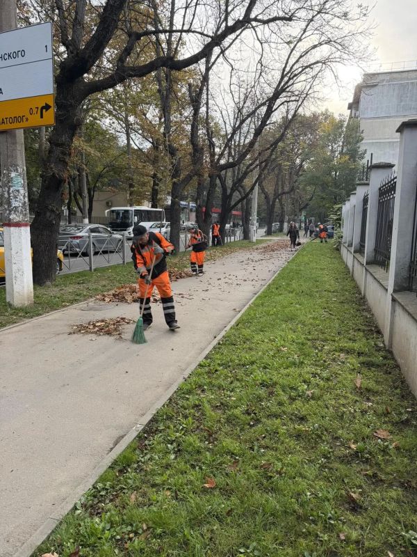 В крымской столице продолжаются сезонные работы по уборке опавшей листвы