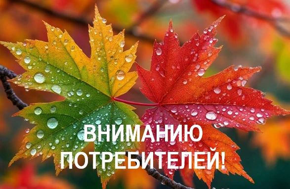 Крымэнерго: 26 октября 2026 года внесены корректировки в графики плановых отключений электроэнергии