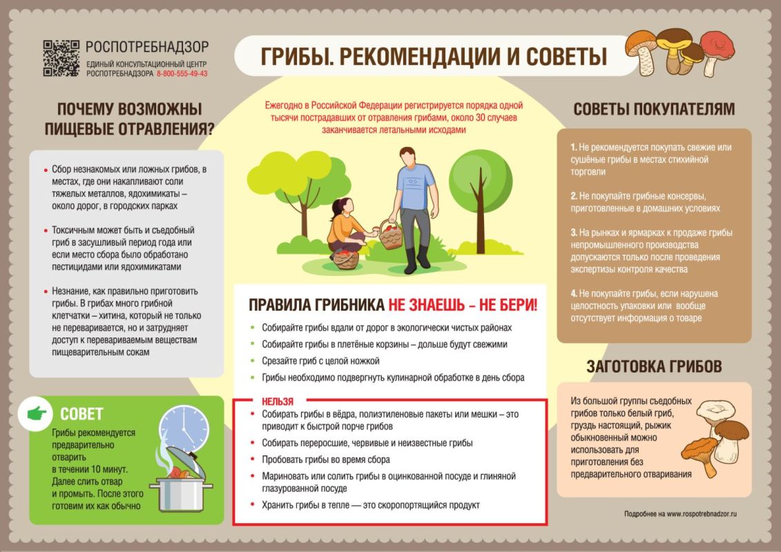 О мерах профилактики отравлений грибами