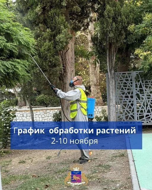 Парки и скверы обработают от возбудителей болезней