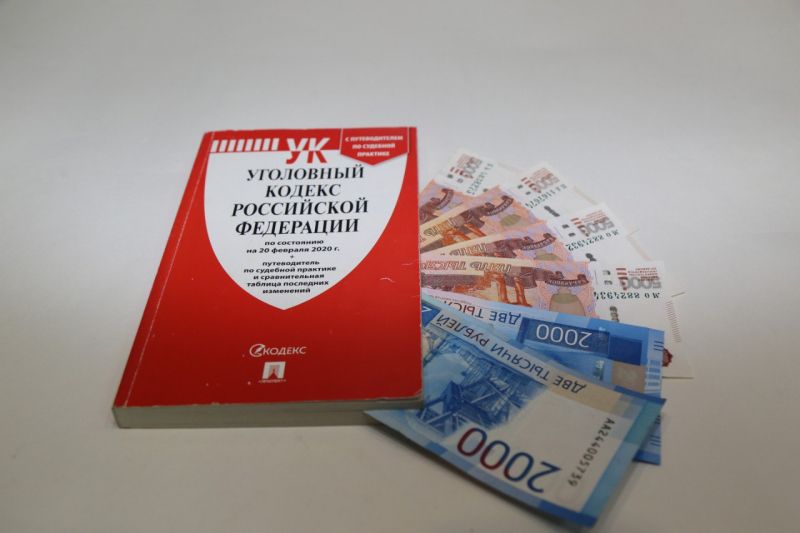 В крымской столице на скамье подсудимых окажется 19-летний курьер из Новосибирска за участие в дистанционных схемах обмана
