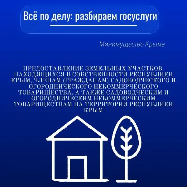 Рубрика: "Всё по делу: разбираем госуслуги"