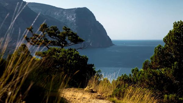 Новости Крыма - главное на утро 29 октября