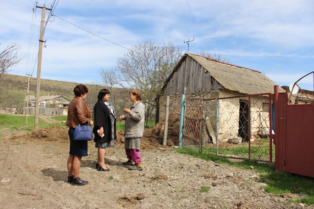 Купить Поросят В Бахчисарайском Районе Крыма