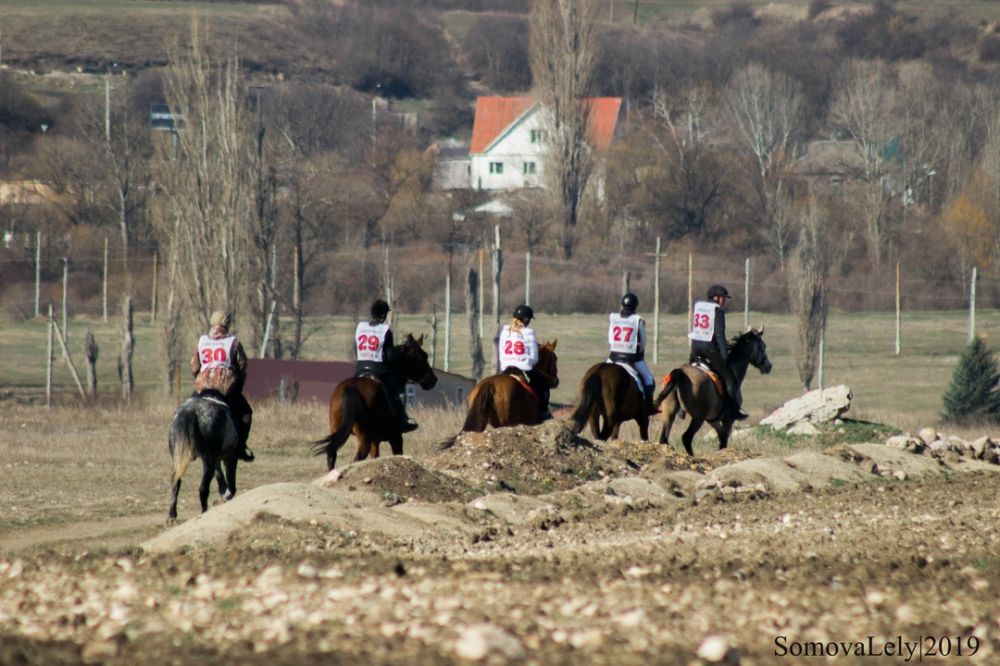 Пробег крым. Конные пробеги Крым. Крымский конный завод. Конный пробег сторожевая Зеленчук.