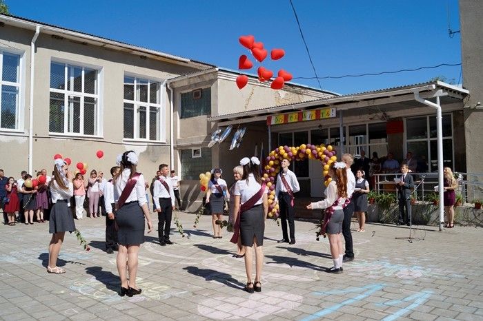 Погода в дмитровке советский