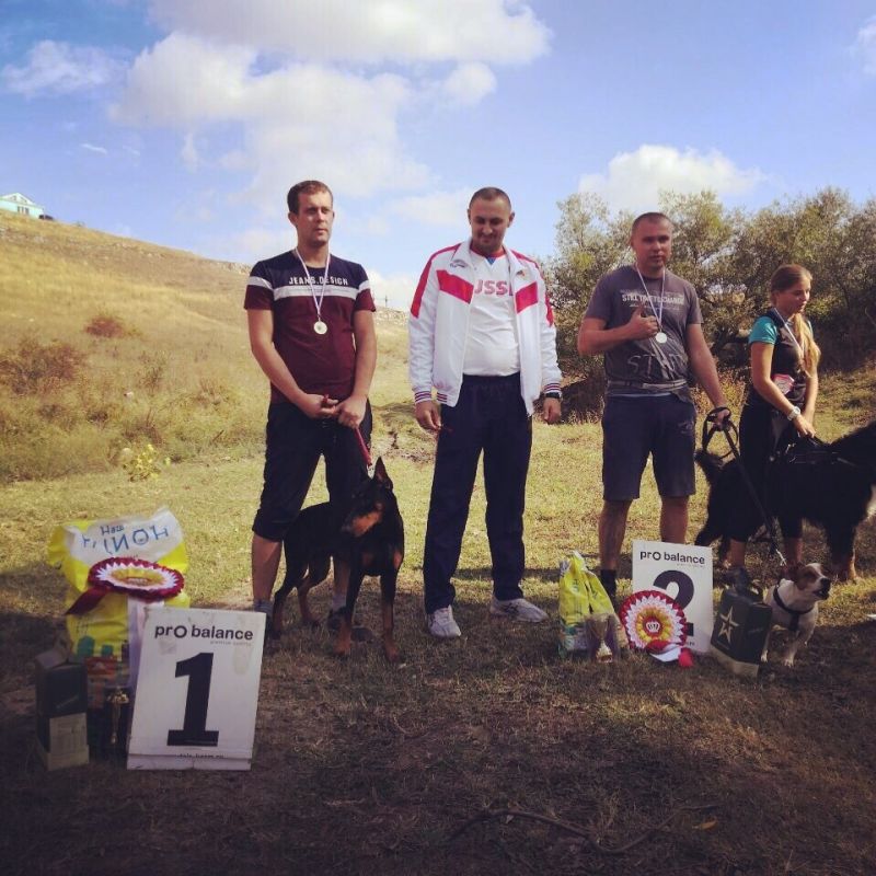 Крым спорт симферополь