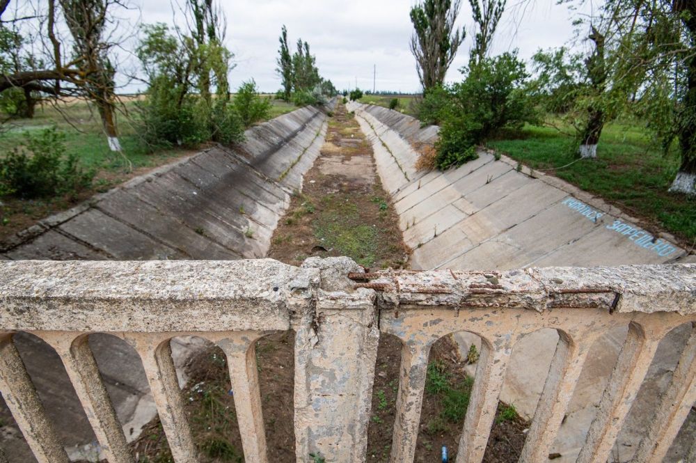 Можно ли поливать огород соленой водой из скважины