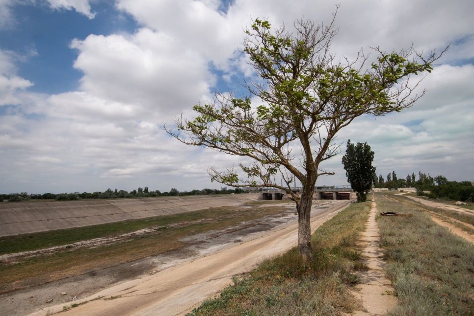 Можно ли поливать огород соленой водой из скважины