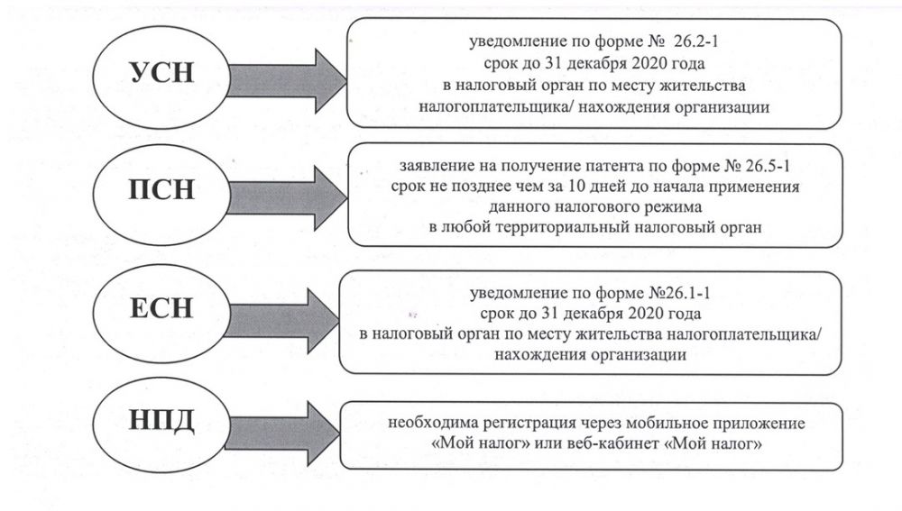 Режимы налогообложения презентация