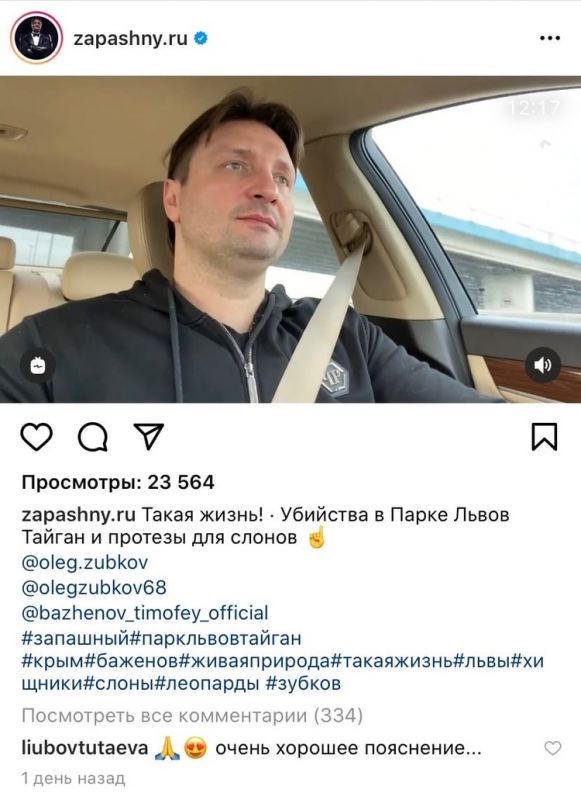 Что случилось со львами в тайгане. Смотреть фото Что случилось со львами в тайгане. Смотреть картинку Что случилось со львами в тайгане. Картинка про Что случилось со львами в тайгане. Фото Что случилось со львами в тайгане