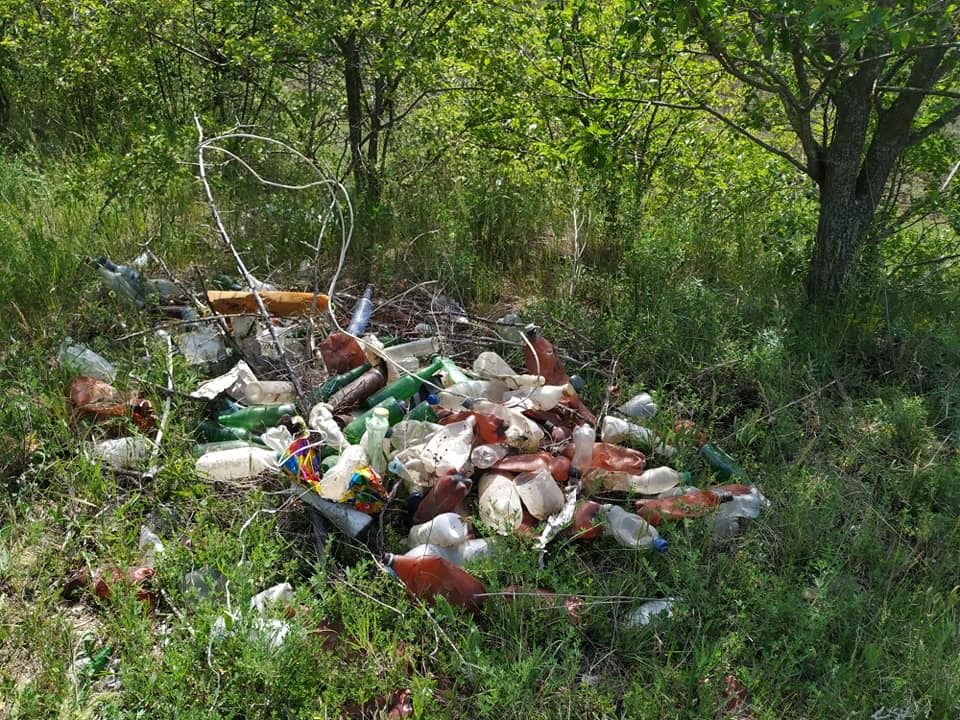 Несанкционированные свалки ленинградской области. Несанкционированные отходы. Неорганизованные свалки. Мусорный полигон в никифоровке тамбовской области. Несанкционированные отходы.