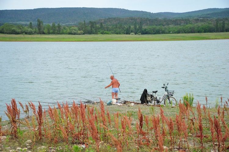 что с симферопольским водохранилищем сегодня. 3b73aaaefae893870069b49b1fe726b5. что с симферопольским водохранилищем сегодня фото. что с симферопольским водохранилищем сегодня-3b73aaaefae893870069b49b1fe726b5. картинка что с симферопольским водохранилищем сегодня. картинка 3b73aaaefae893870069b49b1fe726b5. В гидрометцентре отметили, что за последний месяц в верховьях рек Кача, Бельбек, Биюк-Карасу, Малый Салгир выпало 29,4-56 мм осадков, что составляет норму. Наименьшее количество осадков наблюдалось в бассейне реки Черная, где выпало всего 11% от нормы. В Крымских горах объемы осадков тоже ниже нормы. Так, на Ай-Петри выпало 77% от нормативных значений, на Ангарском перевале – 64%.
