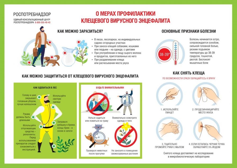 что делать если укусил клещ в крыму. Смотреть фото что делать если укусил клещ в крыму. Смотреть картинку что делать если укусил клещ в крыму. Картинка про что делать если укусил клещ в крыму. Фото что делать если укусил клещ в крыму