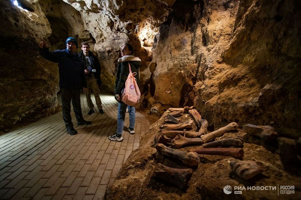 Пещера таврида в крыму экскурсии. Таврида пещера экскурсовод. Пещера Таврида в Крыму экскурсии цена часы работы.