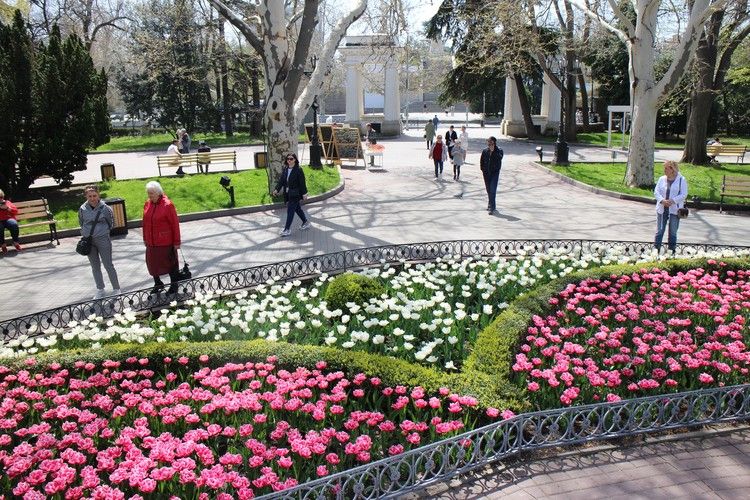 Где В Севастополе Можно Купить Цветы