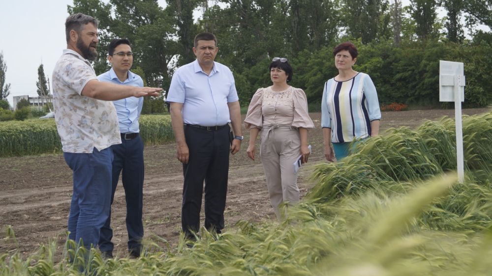 Погода в дмитровке советский