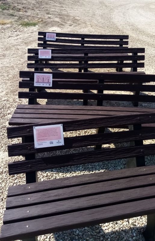 На «Тавриде» установили скамейки, созданные из собранного крымчанами пластика от косметики