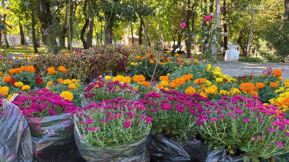 В парках столицы стартовала осенняя высадка цветов