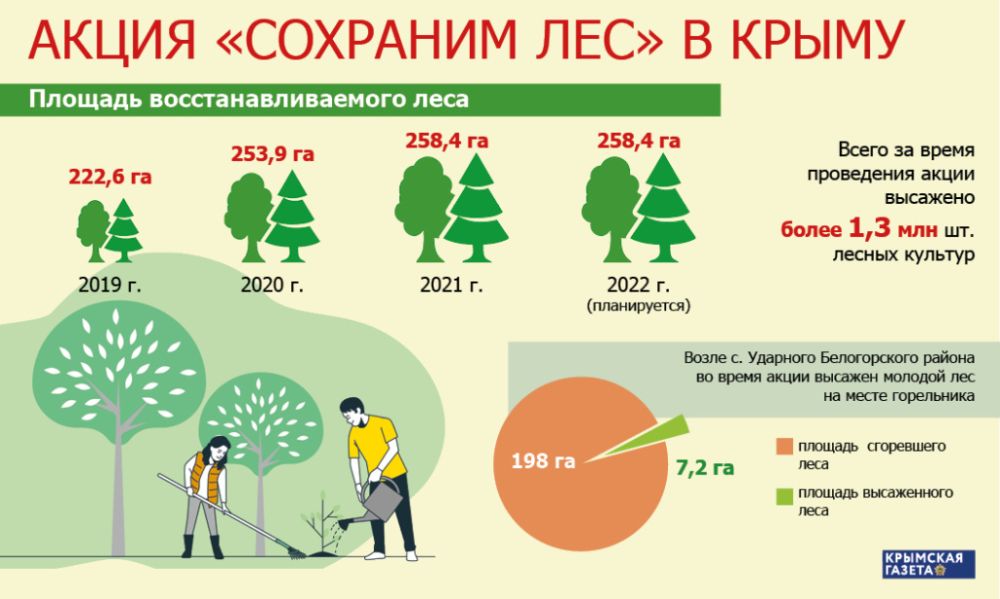 Проект сохраним лес