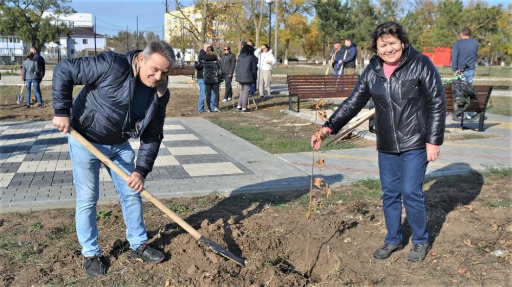 Купить Деревья Курск