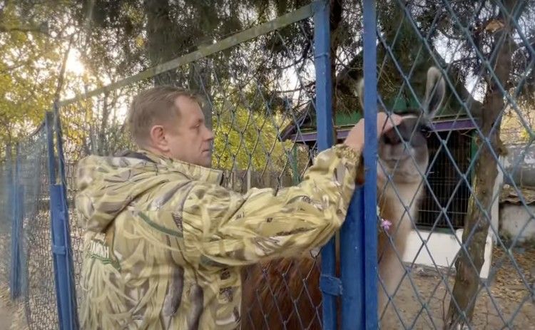 «Они были брошены и напуганы»: владелец крымского парка «Тайган» приютил 18 животных, эвакуированных из Херсона