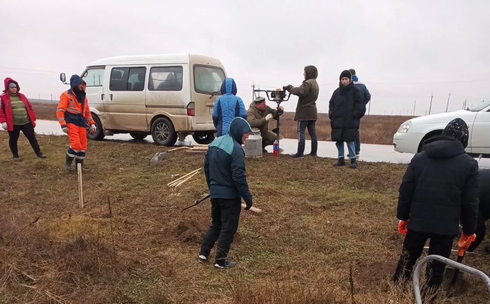 Вызов брошен: житель Крыма посадил сотни деревьев и объявил челлендж