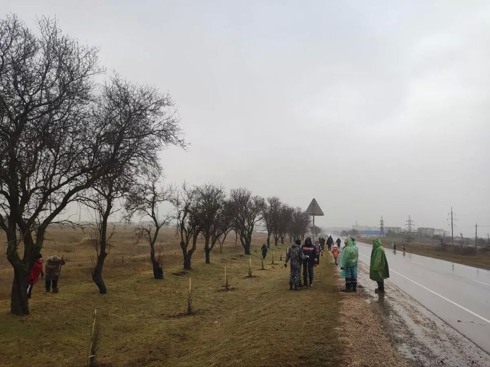 Вызов брошен: житель Крыма посадил сотни деревьев и объявил челлендж