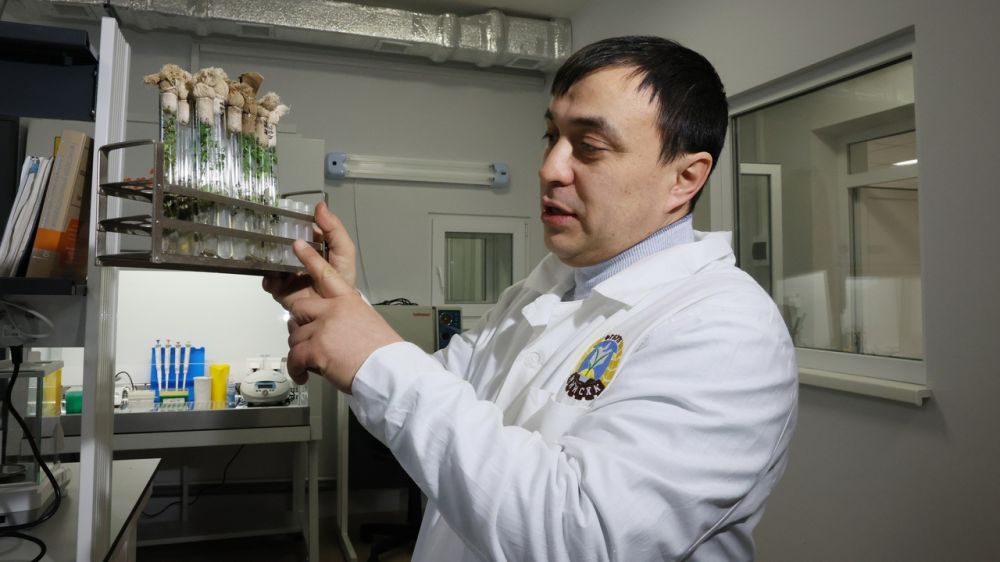 Сергей Аксёнов: Республиканские власти гарантируют поддержку научным проектам, которые смогут принести практическую пользу