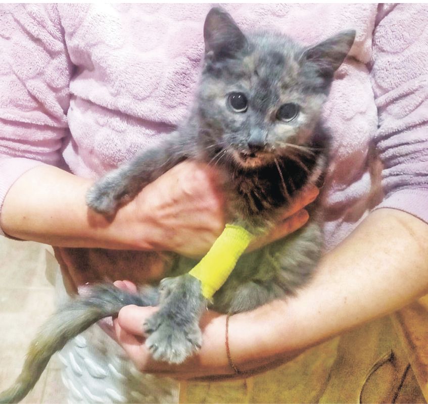 Пушистый кондуктор, детская площадка вместо мусорки и ямы после гаражей ...