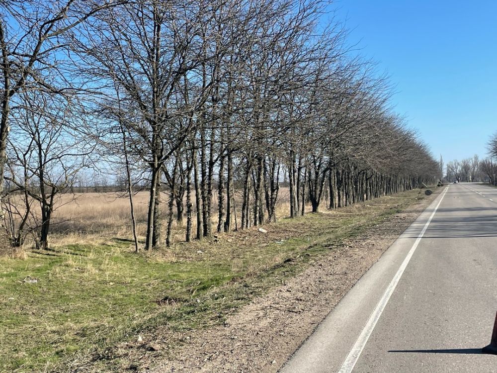 Вдоль обочин. Дорога в Крым. Крым (автодорога). Тротуар вдоль дороги. Симферопольское ДРСУ.