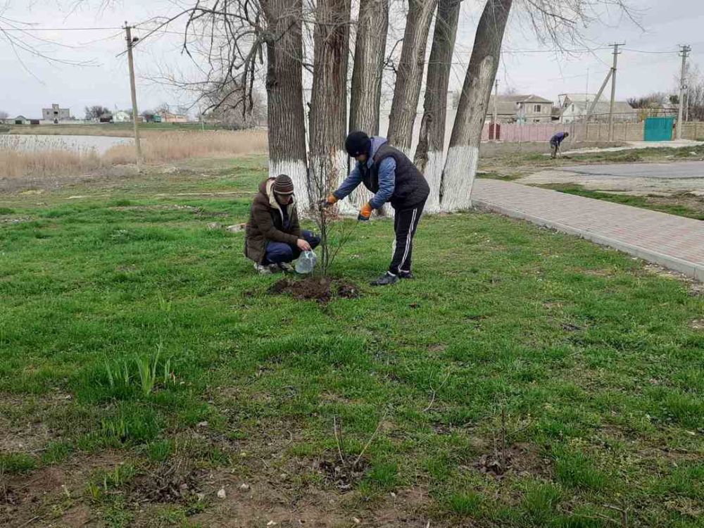 Осп по красноперекопскому району