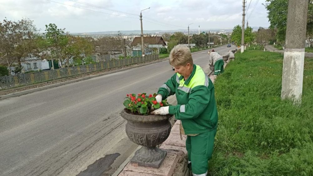 Мачнева Зеленхоз