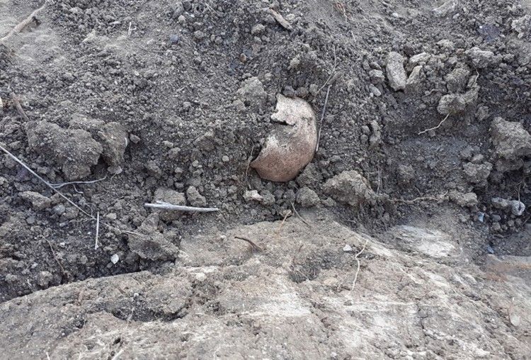 Потоком воды унесло в обрыв: под Керчью после дождя обнаружили останки ...