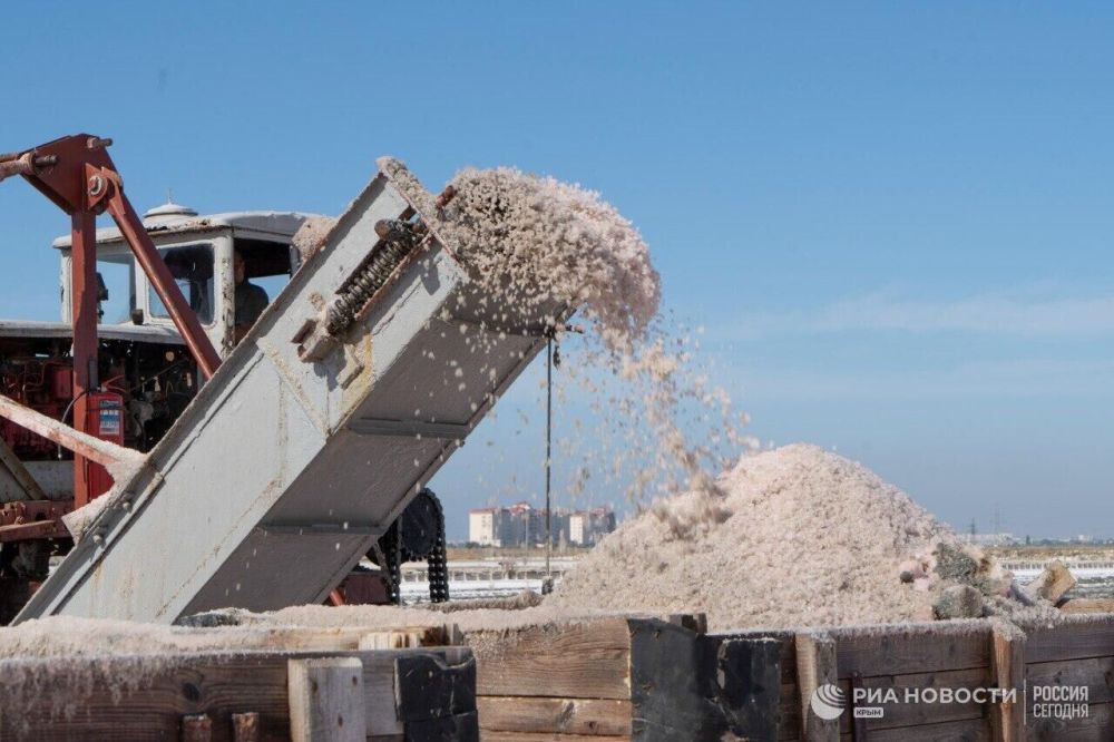 Пахнет фиалками и солнцем: в Крыму началась уборка розовой морской соли