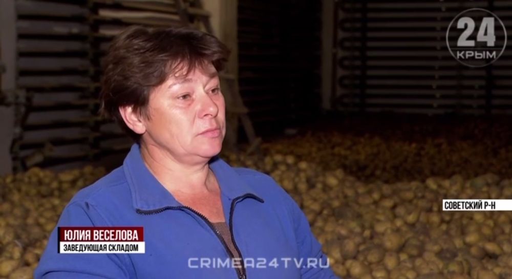 В Советском районе приступили к уборке второго урожая картофеля