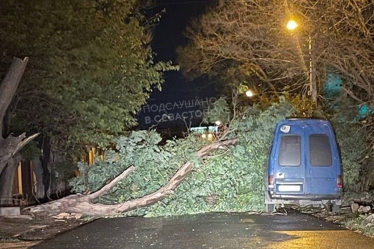 Ураганный ветер в Крыму валит деревья и превращает море в пену